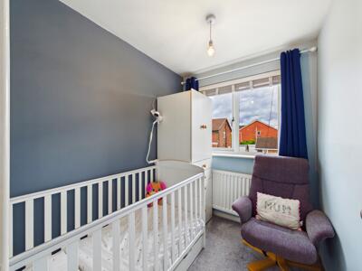 Picture 13
